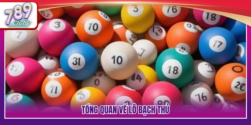 Khái quát hình thức đánh lô bạch thủ